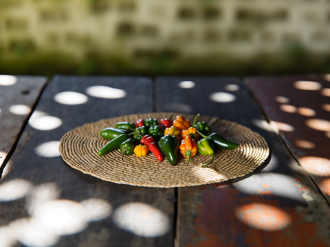 What Is a Jalapeño Pepper: Complete Guide for Beginners