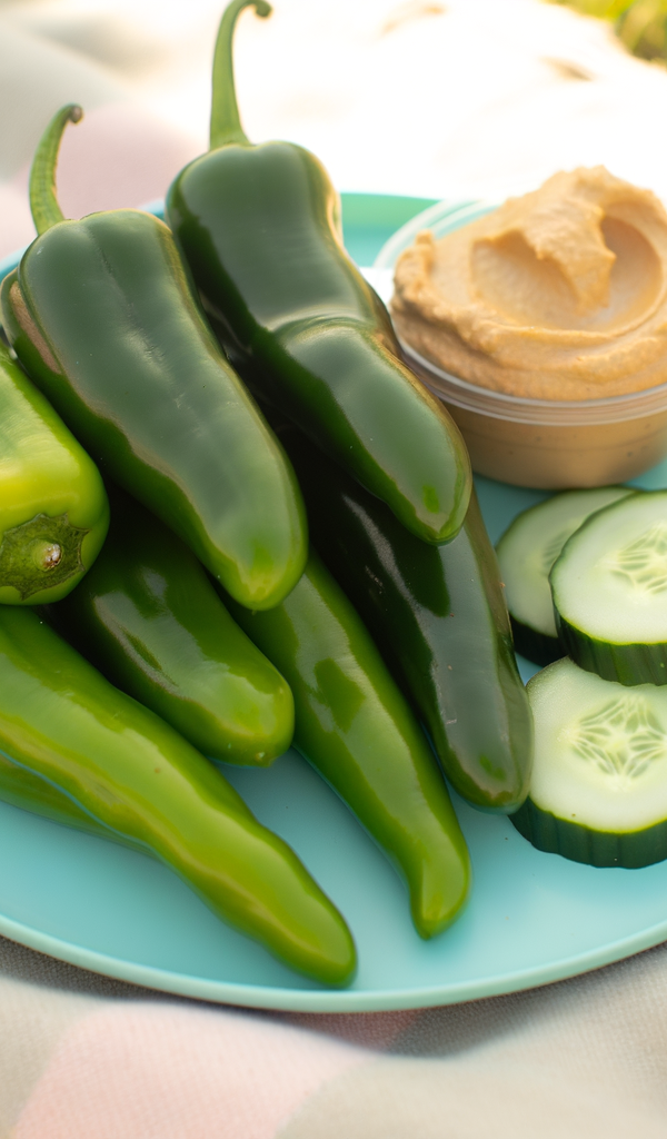 TAM Veracruz Jalapeño